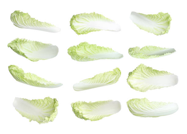 istock Fresh Chinese cabbage leaves on white background 1361279774