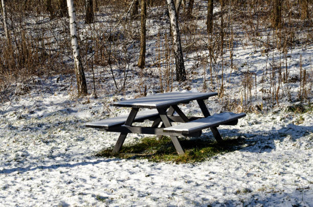 istock picnic bench in the winter park 1361281567
