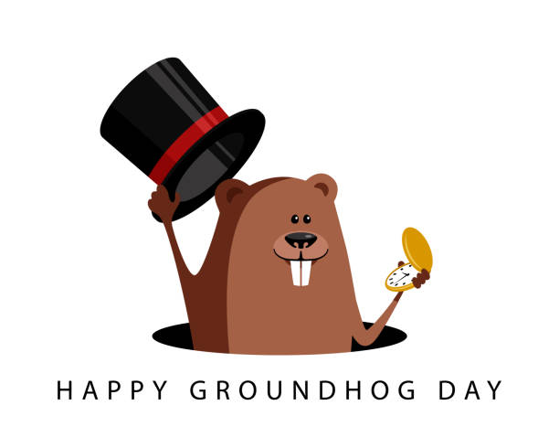 ilustraciones, imágenes clip art, dibujos animados e iconos de stock de feliz celebración del día de la marmota. divertida ilustración vectorial de dibujos animados con marmota. - groundhog day