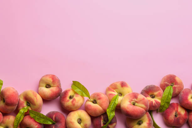 Fresh donut peaches with leaves on light pink background, flat lay. Space for text