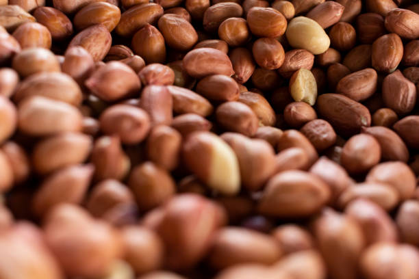 istock Pile of peanuts that are still raw and ready to be processe 1361287969