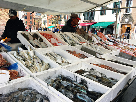 Venice, Italy - 04 05 2017: Broad choice of various fish and seafood on Mercato di Rialto farmer's market in Venice, Italy.