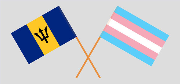 Crossed flags of Barbados and transgender pride. Official colors. Correct proportion. Vector illustration