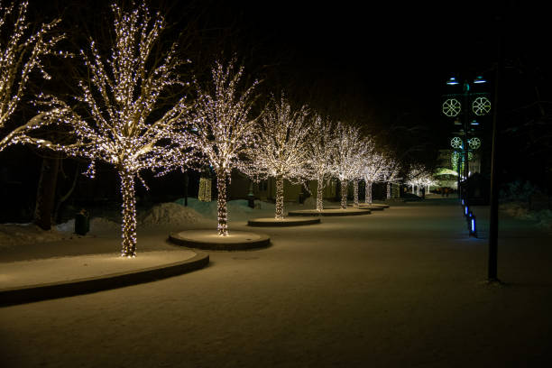 istock Winter night park with lanterns, pavement and trees covered with lights. 1361294070