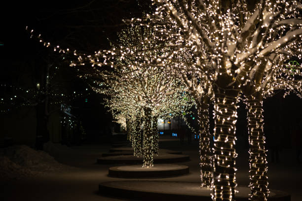 istock Winter night park with lanterns, pavement and trees covered with lights. 1361294101