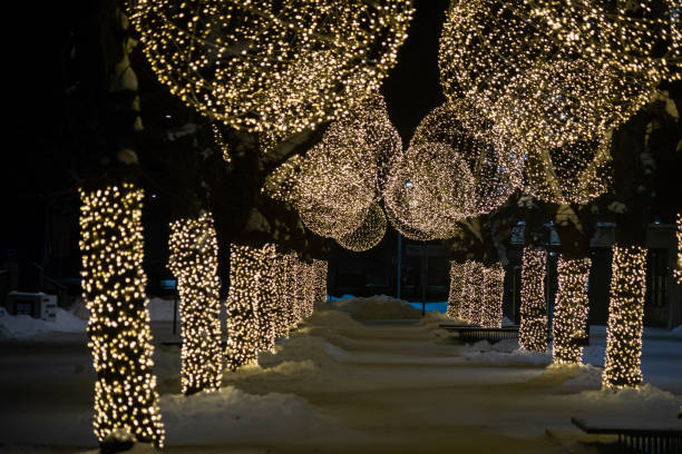 istock Winter night park with lanterns, pavement and trees covered with lights. 1361294120