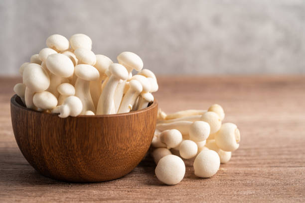 Shimeji, Fresh white bunapi mushrooms from Asia in wooden bowl. Shimeji, Fresh white bunapi mushrooms from Asia in wooden bowl. buna shimeji stock pictures, royalty-free photos & images