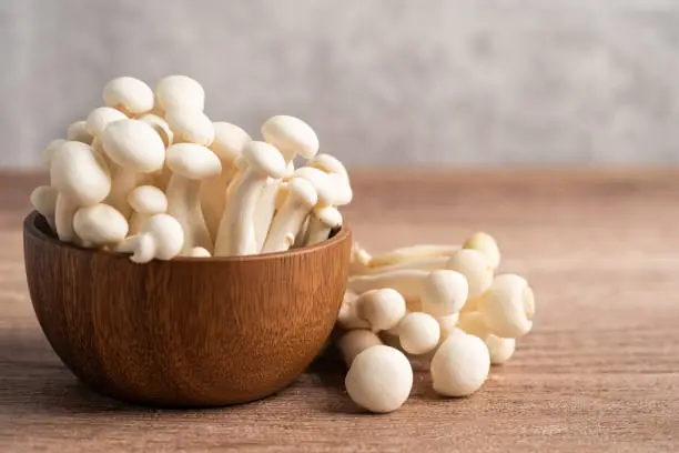 Shimeji, Fresh white bunapi mushrooms from Asia in wooden bowl.