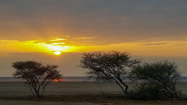istock Eritrea - Horn of Africa 1361294588
