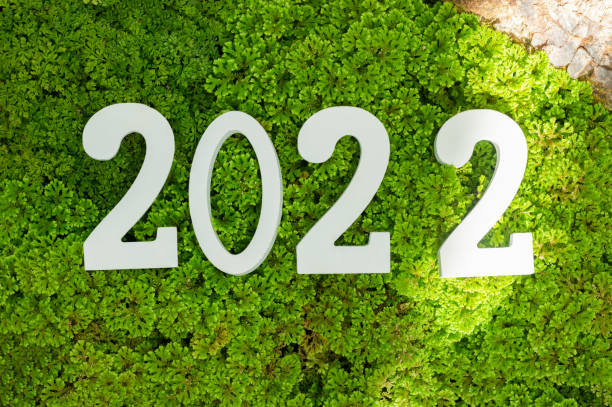 istock Happy new year 2022 year message on Green Moss grass background. 1361296711