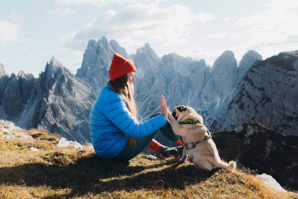 donna sorridente e il suo cane che contemplano le montagne panoramiche rilassandosi sul prato delle dolomiti alpi - footpath field nature contemplation foto e immagini stock