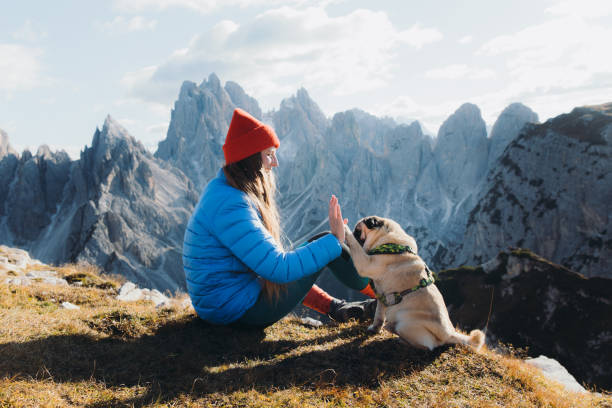 Smiling woman and her dog contemplating the scenic mountains relaxing at the meadow in Dolomites Alps Happy female in red hat and blue jacket with her cute pet - pug breed enjoying the hiking trip with view of the beautiful mountain range in the Alps, Italy wonderlust stock pictures, royalty-free photos & images