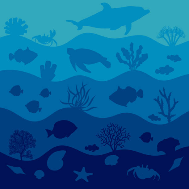 ilustraciones, imágenes clip art, dibujos animados e iconos de stock de ilustración submarina con animales, peces y corales. antecedentes marinos. - dolphin animal sea underwater