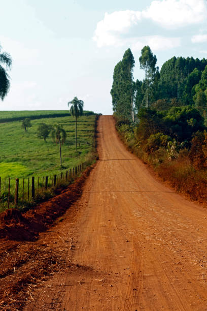 istock Red dirt road flanked by forest and pasture 1361300286