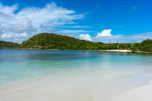 istock Green Island, Antigua 1361300367