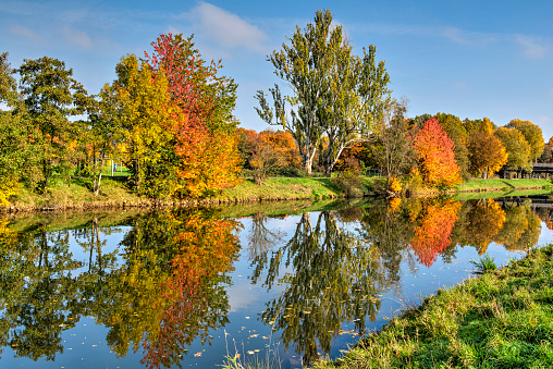 Autumn mood on the river Nidda in Frankfurt am Main with colorfully colored deciduous trees and shrubs on the shore