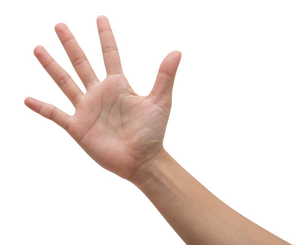 istock Woman hand show finger number five isolated on white background. 1361300577