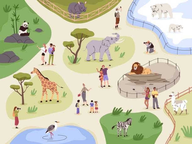 Zoo map. Animals safari park plan. Fenced enclosures with lion, llama and rhinoceros. People look at panda or giraffe. Visitors and guide on excursion. Families walk. Vector concept Zoo map. Animals safari park plan. Fenced enclosures with lion, llama and rhinoceros. People look at exotic panda or giraffe. Happy visitors and guide on excursion. Families walk. Vector concept zoo stock illustrations