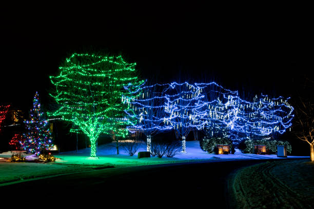 istock trees along street illuminated with holiday lights 1361303077