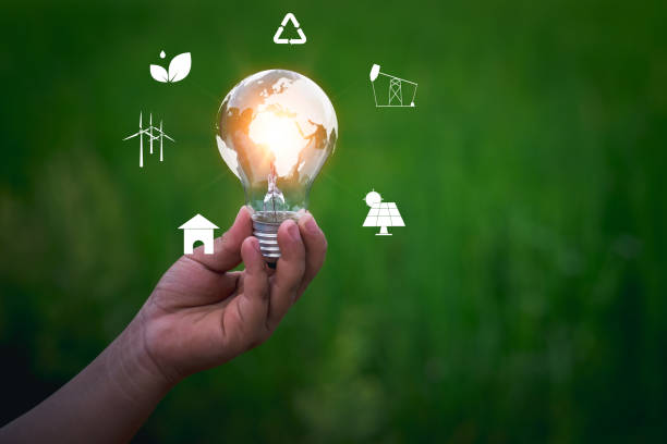 istock child's hand holding a light bulb on green background. 1361304412