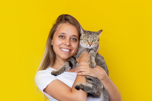 A young beautiful smiling blonde woman in a white t-shirt holds young Tabby cat in her hands isolated on color yellow background. Good friends. Friendship of a pet and its owner