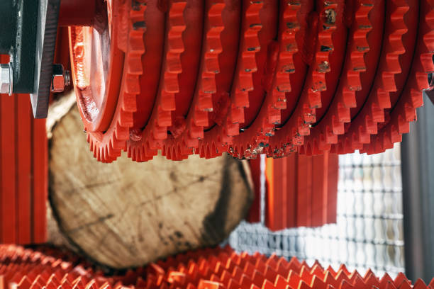 sawmill feeding flanges in woodworking machine at the sawmill sawmill feeding flanges in woodworking machine at the sawmill. focus on the sawmill sawmill gravy stock pictures, royalty-free photos & images