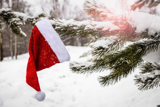 istock santa claus hat hanging on winter Christmas tree covered 1361310563