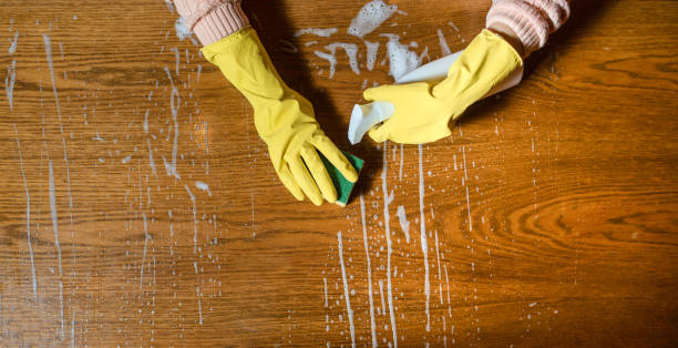 istock Top view hands in protective rubber gloves holding a sponge 1361310781
