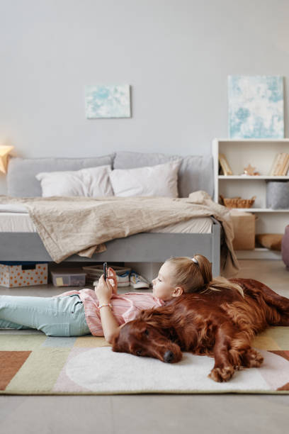自宅で大きな犬と小さな女の子 - child house dog bed ストックフォトと画像