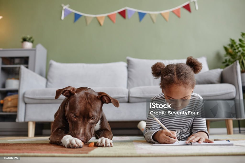 African American Girl with Big Dog at Home Front view portrait of cute African-American girl lying on floor with big dog, copy space Flooring Stock Photo