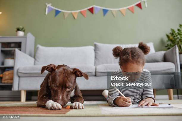 African American Girl With Big Dog At Home Stock Photo - Download Image Now - Flooring, Child, Home Interior