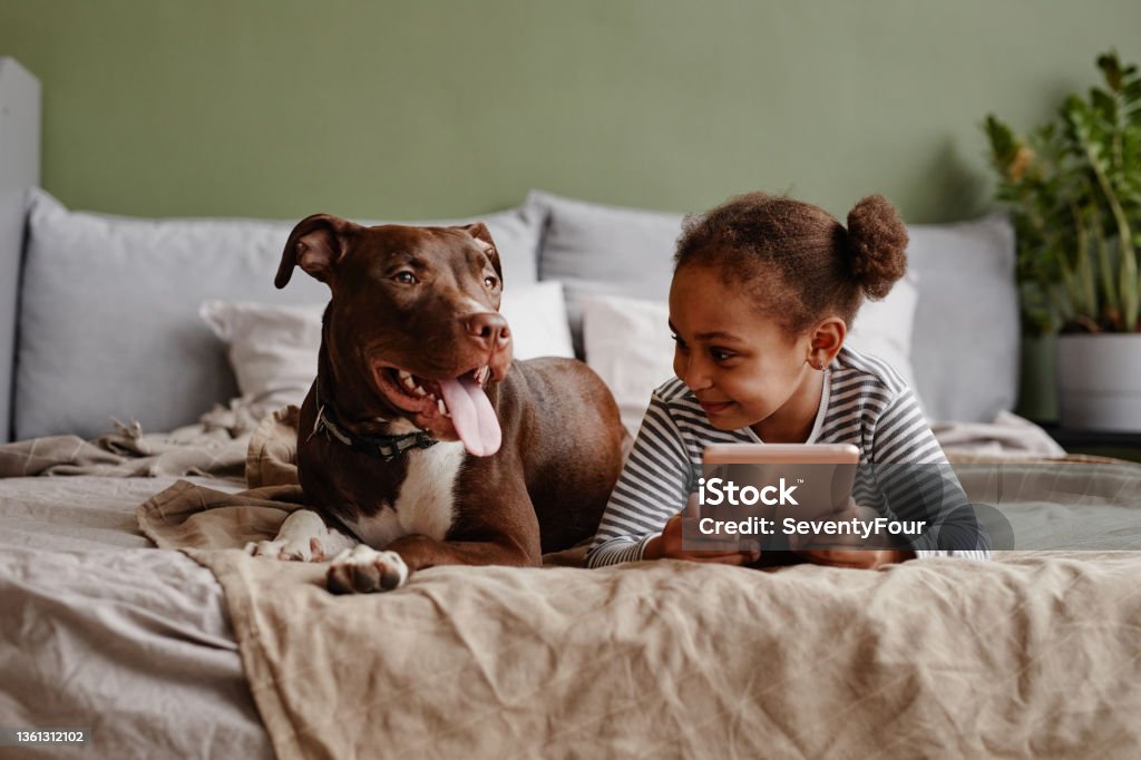 Little African American Girl with Dog on Bed Front view portrait of cute African-American girl lying on bed with big pet dog and smiling, copy space Pets Stock Photo