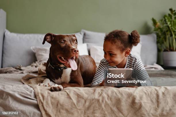 Little African American Girl With Dog On Bed Stock Photo - Download Image Now - Pets, Petting, Dog