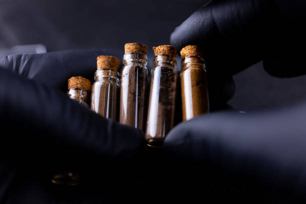 Various dried herbs and herbal teas in various glass jars on black wooden background, close-up