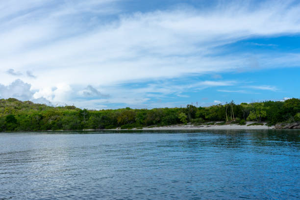 istock Green Island, Antigua 1361312466