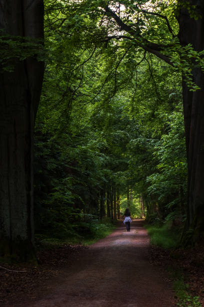 istock Hiker walking in dark green spring forest 1361316208