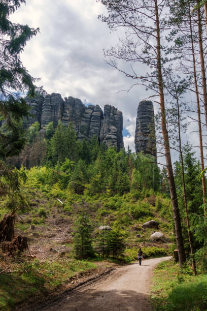 Hiking trail through forest leading to rock formation Affensteine in Saxon Switzerland, Germany stock photo