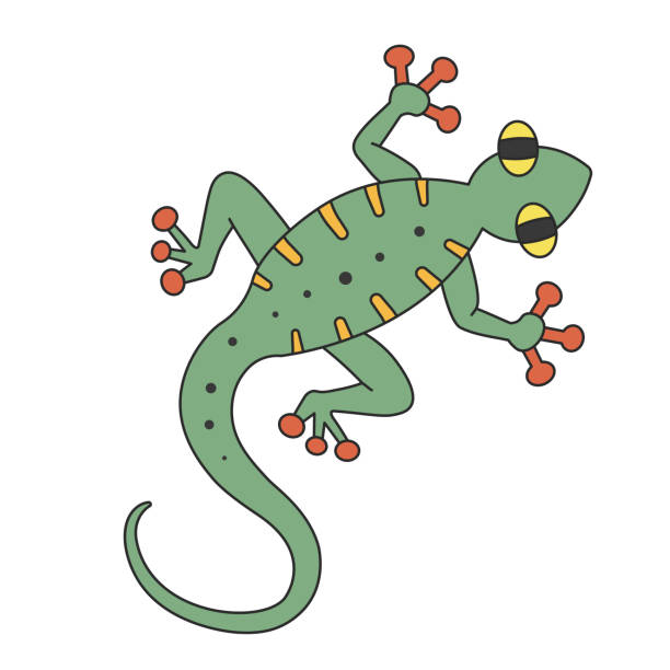 Cute Cartoon Lizard Crawling A Funny Green Lizard View From Above Vector  Clip Art Illustration In 2d Handdrawn Simple Style Stock Illustration -  Download Image Now - iStock