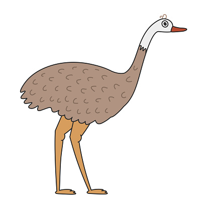 Free download of emu animal bird vector graphics and illustrations, page 18
