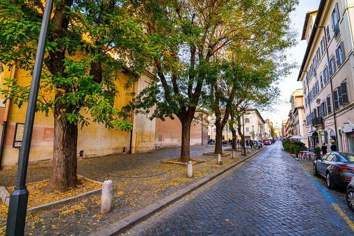 A suggestive autumnal view of Via di San Giovanni in Laterano, a tree-lined street in the Rione Celio (Caelian district), in the historic heart of Rome. The Rione Celio is one of the oldest in Rome, built between the Colosseum, Colle Oppio (Oppian Hill) and Colle Celio (Caelian Hill). On the left, the facade of the ancient early Christian Basilica of San Clemente. In 1980 the historic center of Rome was declared a World Heritage Site by Unesco. Super wide angle and high definition image.