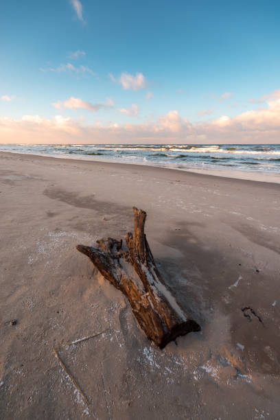 istock Winter landscape on the beach in Karwia 1361330182