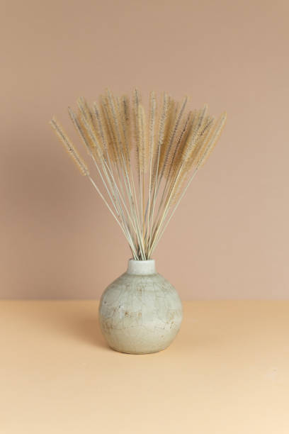 istock Monochrome composition dry spikelets of grass in a ceramic vase 1361330338