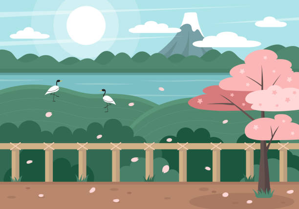 ilustraciones, imágenes clip art, dibujos animados e iconos de stock de ilustración vectorial de paisaje japonés. escena de naturaleza asiática de dibujos animados con hermosa vista. cielo, montaña y lago. paisaje plano del lago de montaña fuji y árbol sakura en flor y garzas. - traditional culture heron bird animal