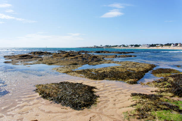 istock Valentin beach in Batz-sur-Mer village 1361335069