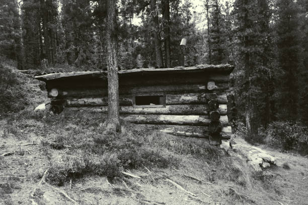 istock A log forester house in a deep woods 1361335148