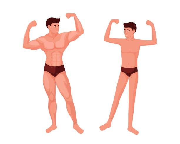 wysportowany i szczupły mężczyzna. muskularny sportowiec pozuje z napompowanymi mięśniami i chudym facetem - pumped stock illustrations