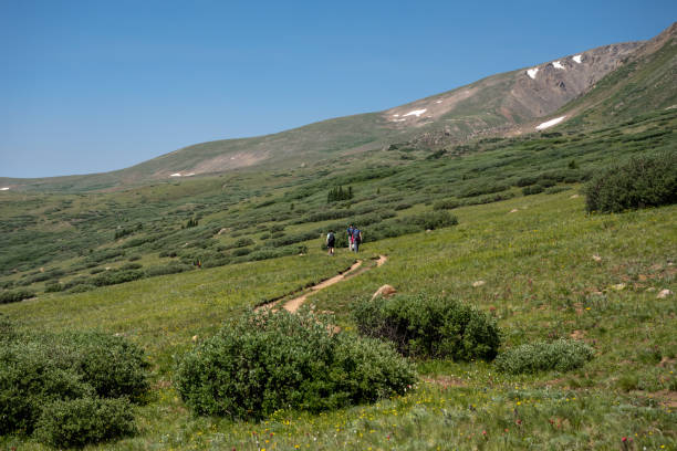 istock Hikers On A Open Meadow Trail At Guanella Pass 1361340735