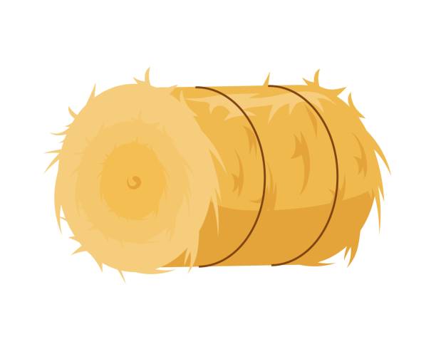 runder heuhaufen. goldene bandagierte grasrolle - hayfield stock-grafiken, -clipart, -cartoons und -symbole