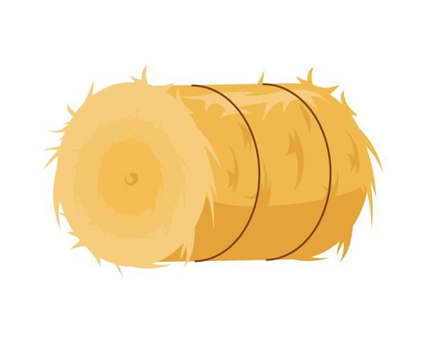 illustrazioni stock, clip art, cartoni animati e icone di tendenza di pagliaio rotondo. rotolo d'erba fasciato d'oro - barley grass illustrations
