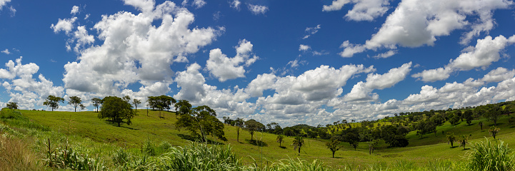 Brasilia, Federal District, Brazil – December 25, 2021: A panoramic photo of the landscape along the BR-153 highway, somewhere between Brasília and Goiânia.